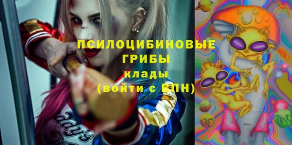 гашик Касимов