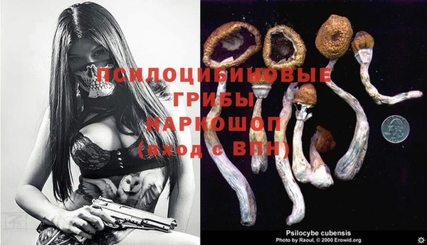 jwh Карталы