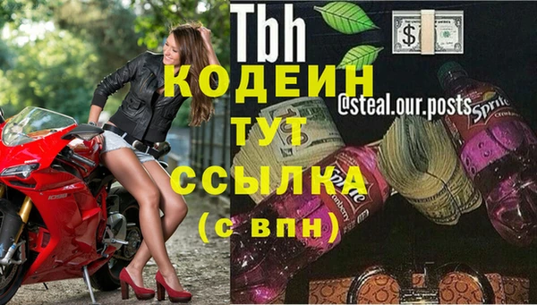 гашик Касимов