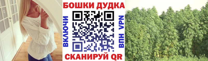 где найти   Пугачёв  Канабис MAZAR 